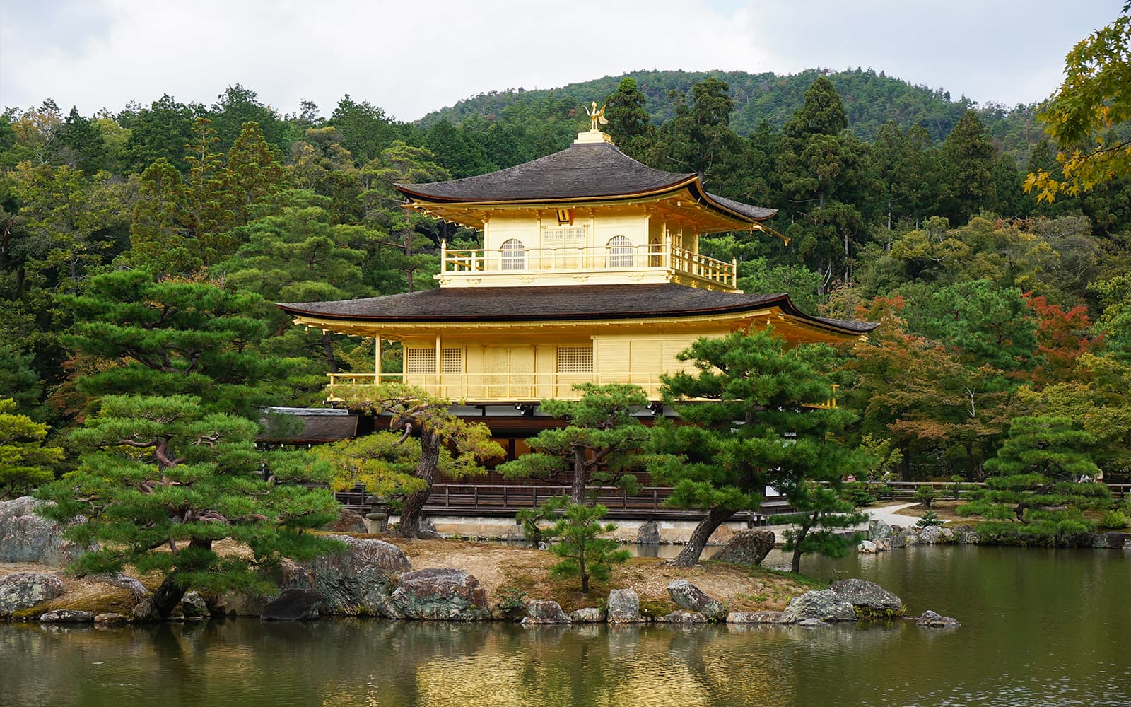 Guided Tour of Nijo Castle And Kinkaku-Ji Temple