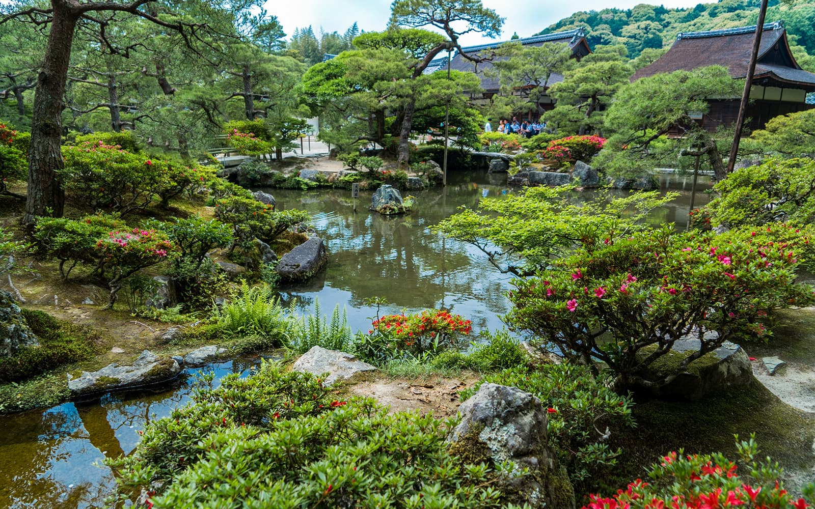 Guided Tour of Nijo Castle And Kinkaku-Ji Temple tickets in Kyoto - Highlights | TickYourList
