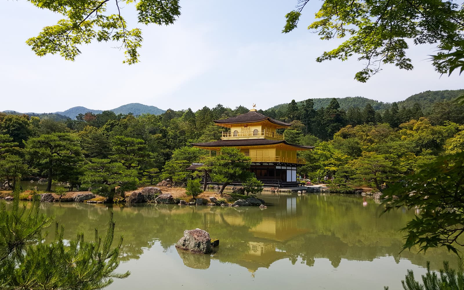 Guided Tour of Nijo Castle And Kinkaku-Ji Temple tickets in Kyoto - Full Experience | TickYourList