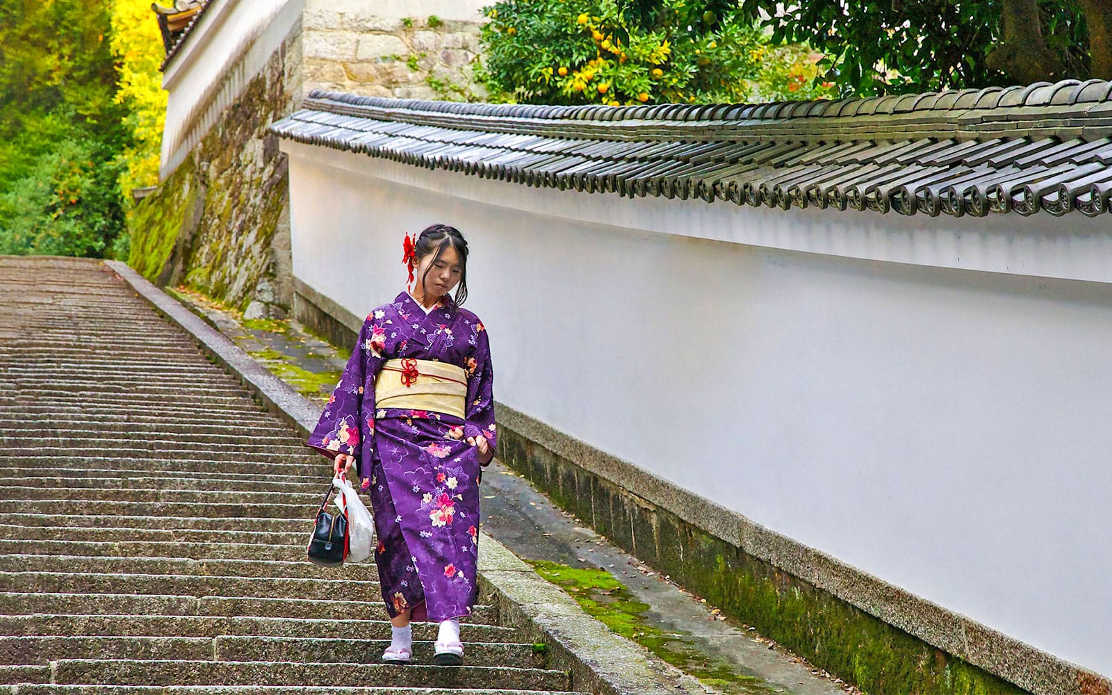 Kennin-ji Temple, Gion, and Nishiki Market Tour with Tea Ceremony Experience tickets in Kyoto - Attractions | TickYourList