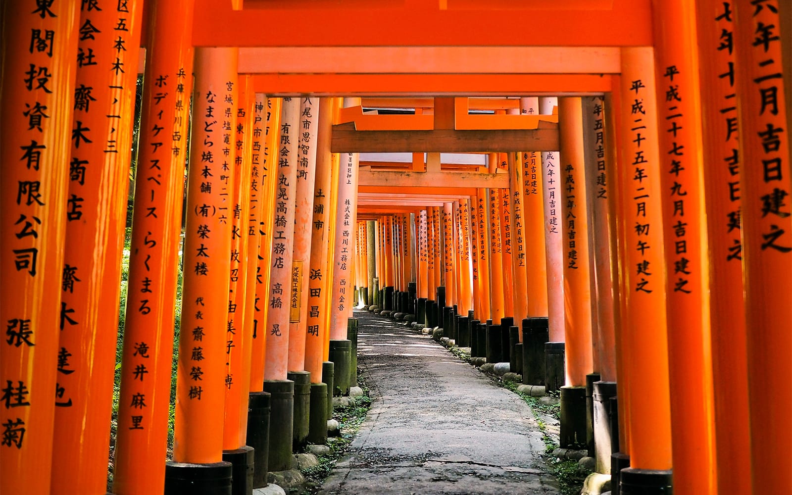 Fushimi Inari Taisha Shrine and Sake Tasting Tour tickets in Kyoto - Activities | TickYourList