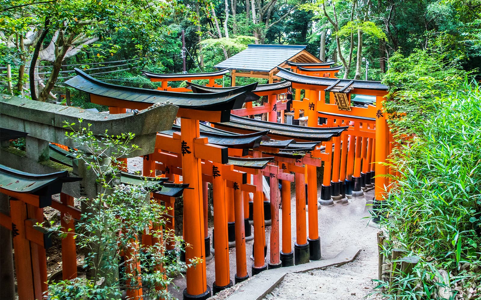Fushimi Inari Taisha Shrine and Sake Tasting Tour tickets in Kyoto - Features | TickYourList
