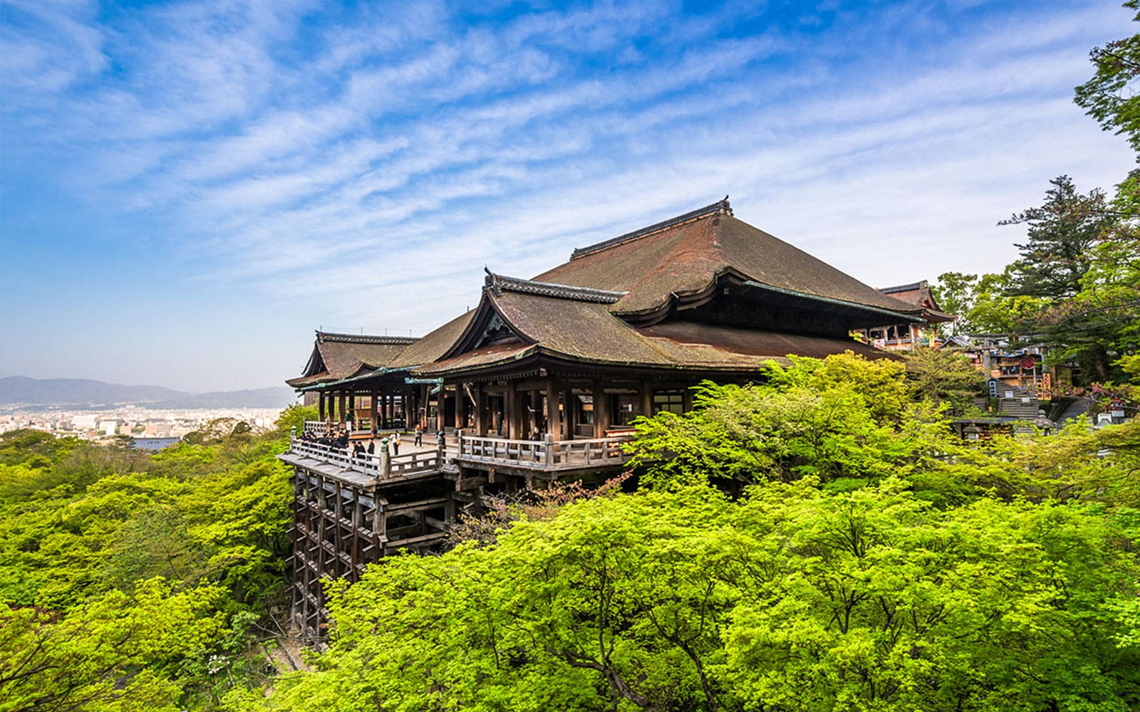 Kyoto Sagano Romantic Train Day Tour from Osaka Umeda tickets in Kyoto - Attractions | TickYourList