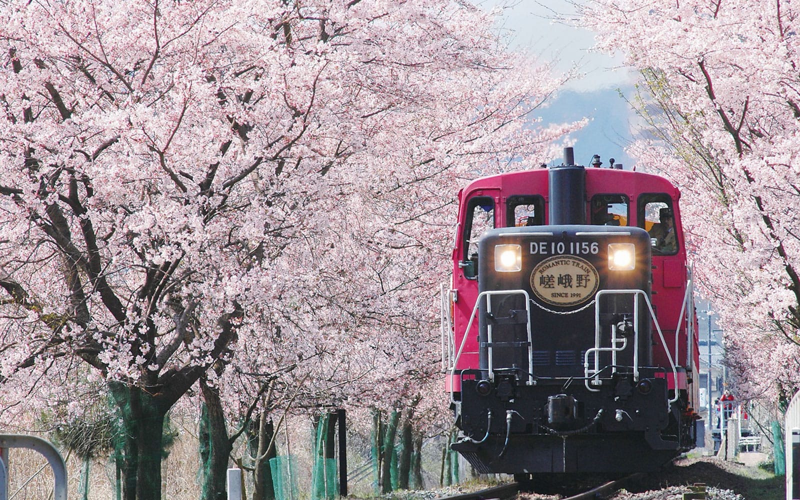 Kyoto Sagano Romantic Train Day Tour from Osaka Umeda tickets in Kyoto - Highlights | TickYourList