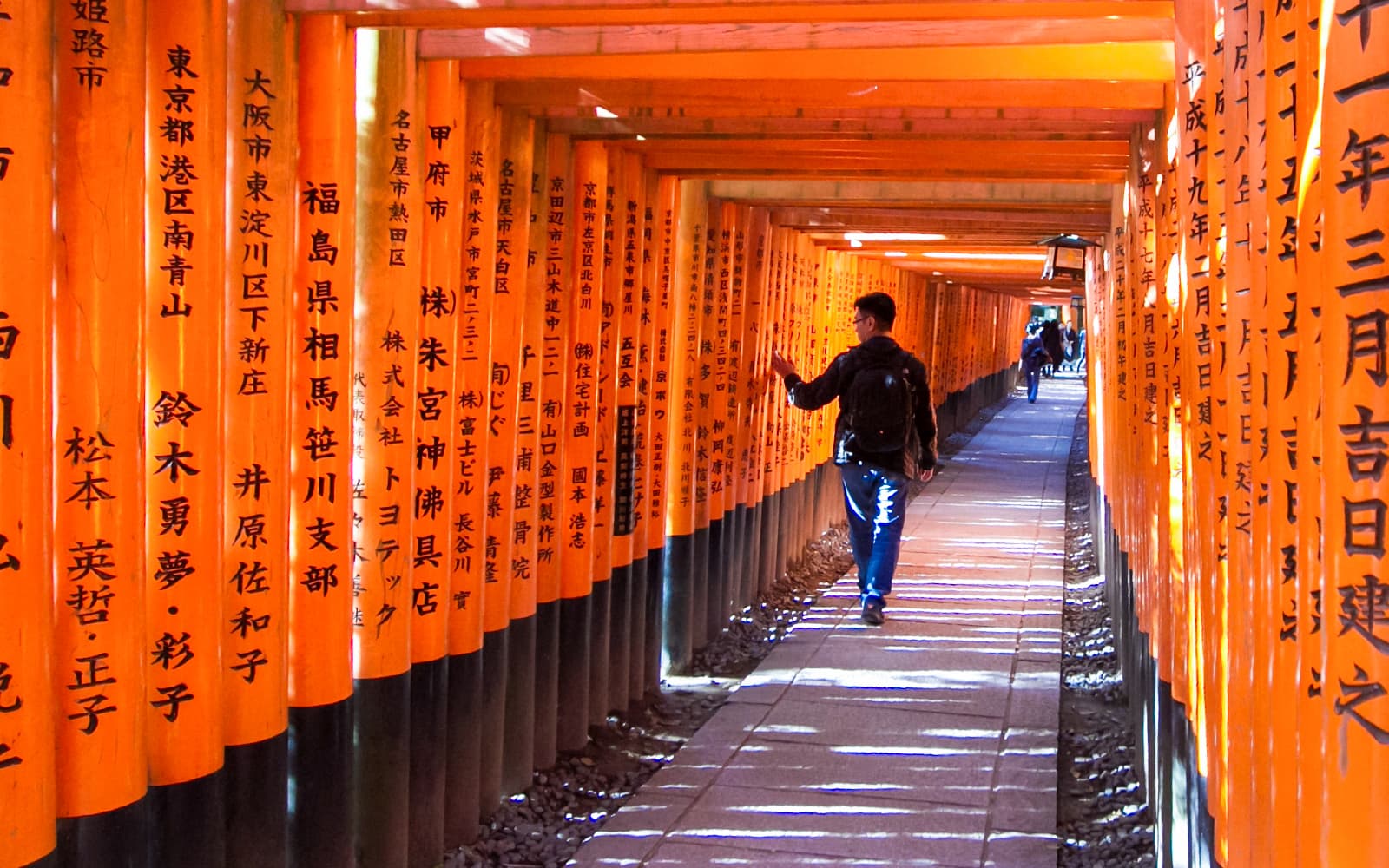 Kyoto Sagano Romantic Train Day Tour from Osaka Namba