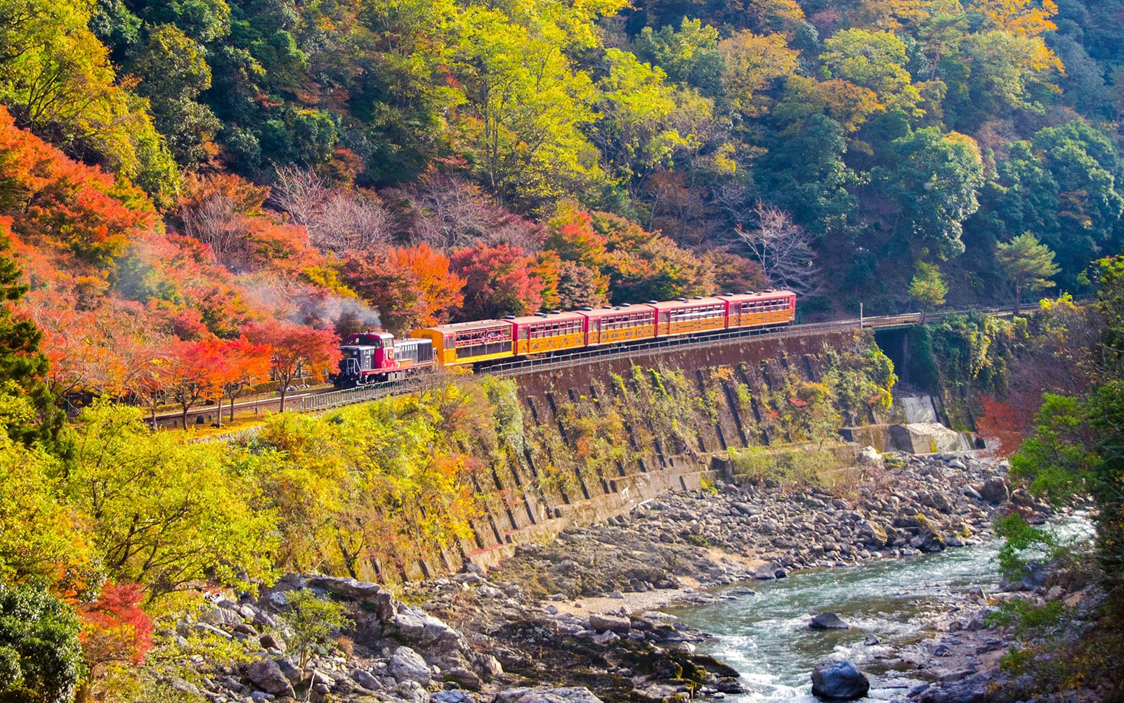 Kyoto Sagano Romantic Train Day Tour from Osaka Namba tickets in Kyoto - Activities | TickYourList