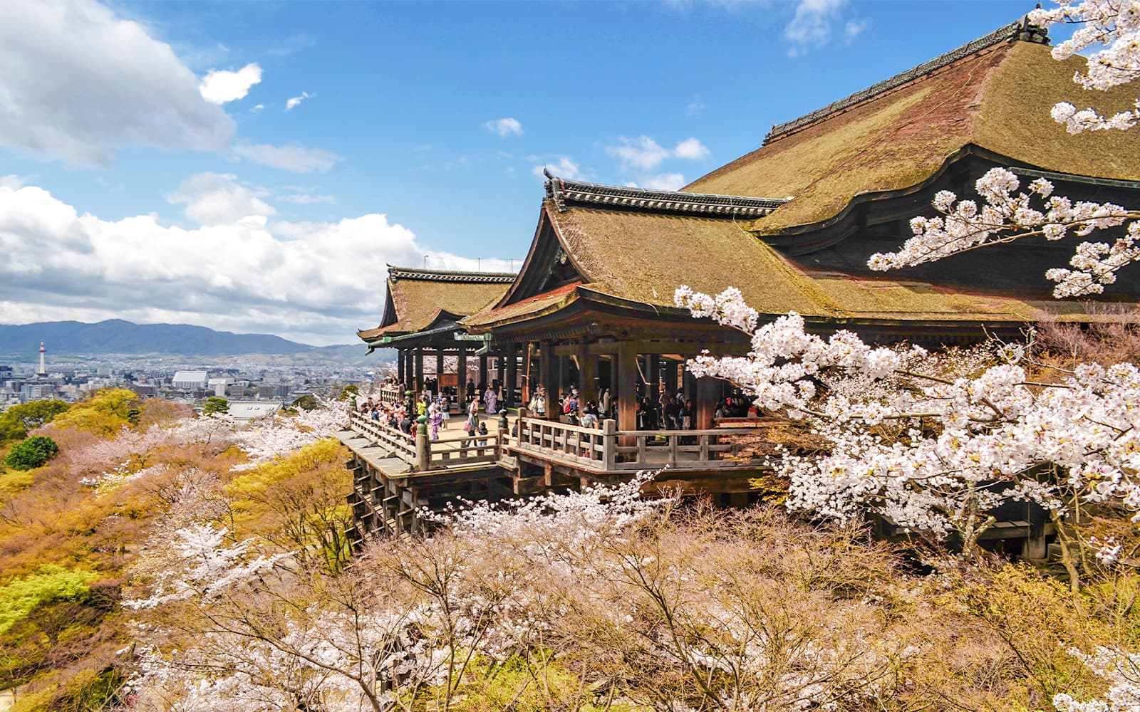 Kyoto Sagano Romantic Train Day Tour with Kyoto Station Pick-Up tickets in Kyoto - Features | TickYourList