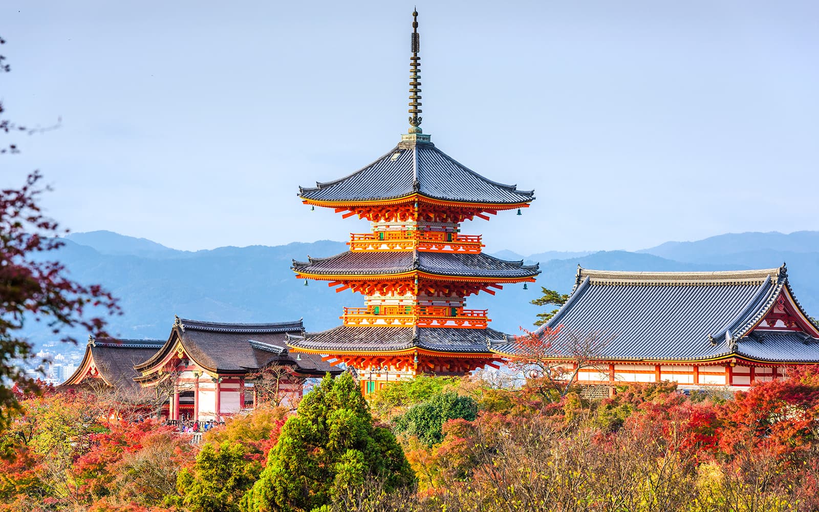 Kyoto & Nara Guided Tour: Temples, Deer Park & Timeless Icons from Osaka/Kyoto tickets in Osaka - Attractions | TickYourList