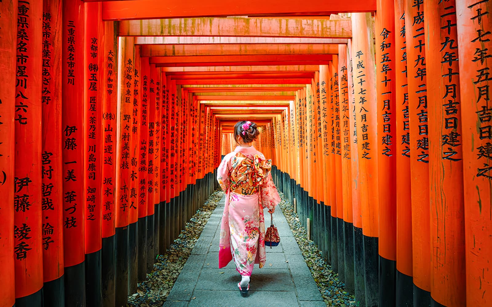 Kyoto & Nara Guided Tour: Temples, Deer Park & Timeless Icons from Osaka/Kyoto tickets in Osaka - Activities | TickYourList