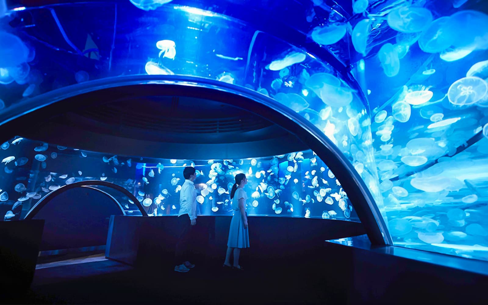 Tickets to Kyoto Aquarium