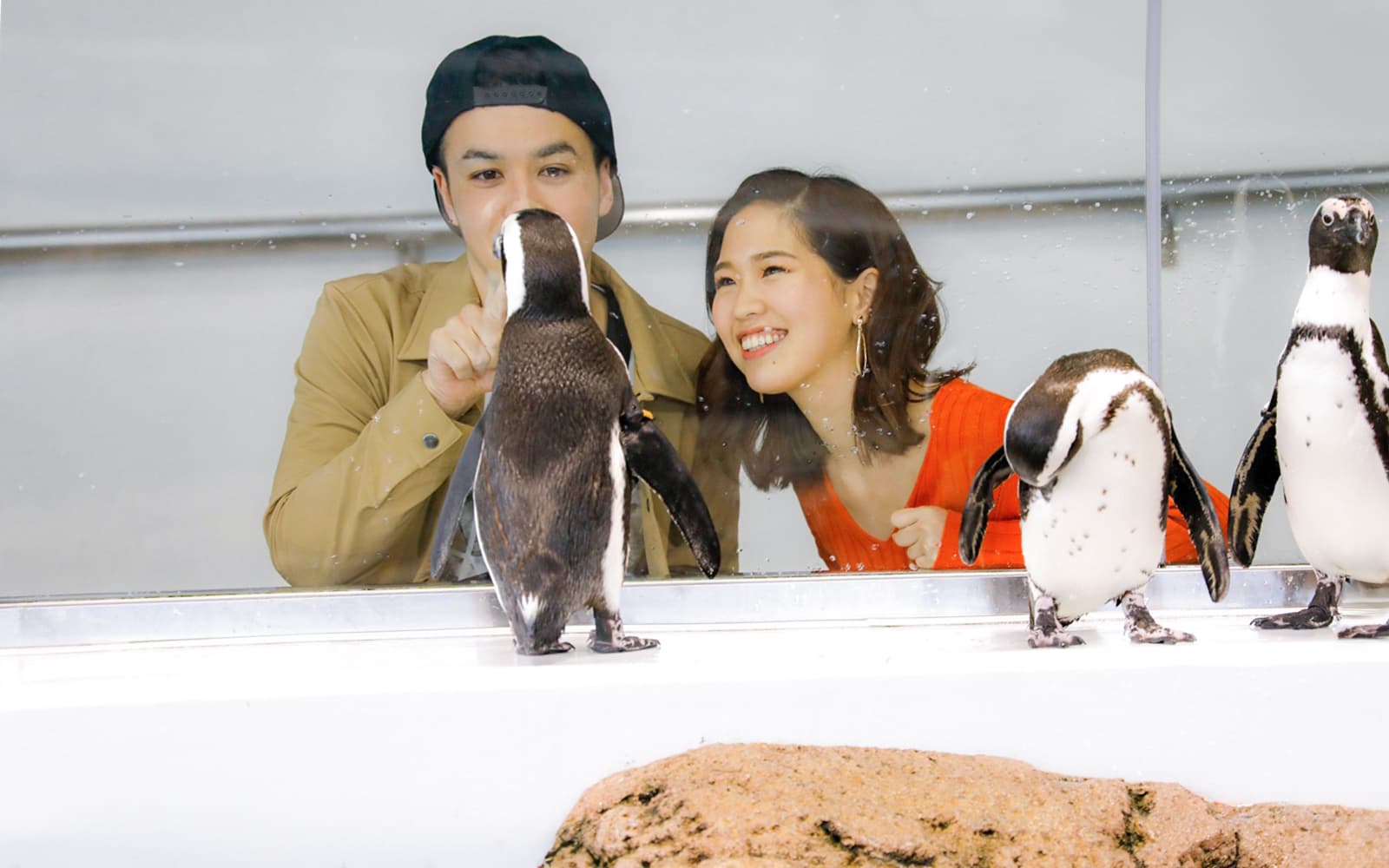 Tickets to Kyoto Aquarium in Kyoto - Attractions | TickYourList