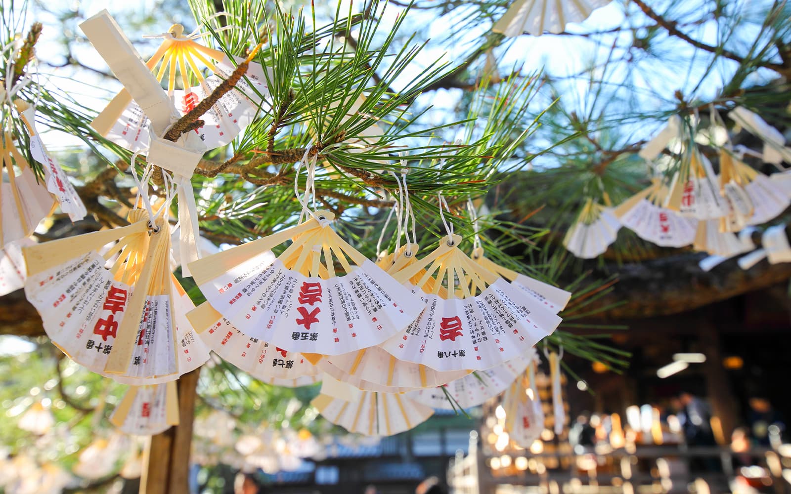 Kyoto Coast Guided Tour: Amanohashidate View & Ine’s Floating Village from Osaka/Kyoto tickets in Kyoto - Activities | TickYourList