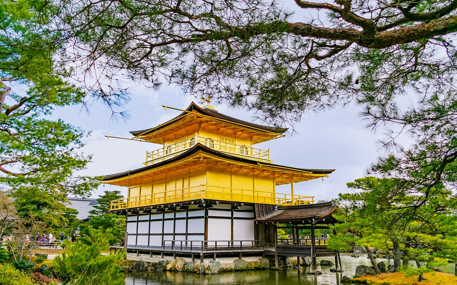 Kyoto Heritage Guided Tour: Arashiyama, Fushimi Inari & Kiyomizu-dera on Luxury Coach with Optional Lunch