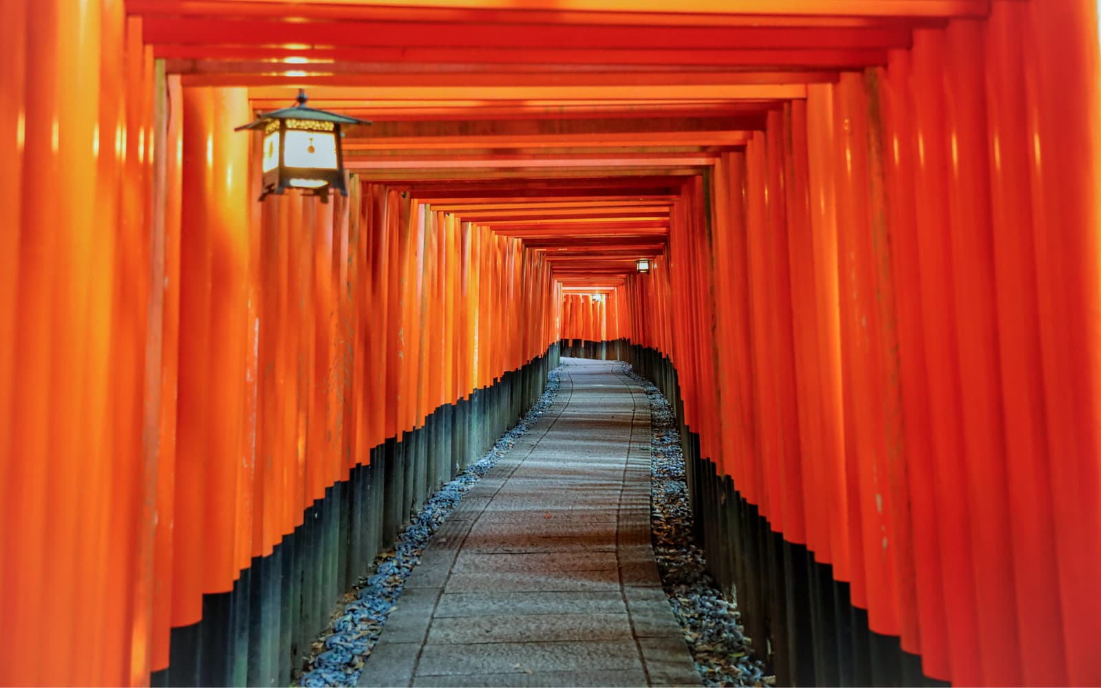Kyoto Heritage Guided Tour: Arashiyama, Fushimi Inari & Kiyomizu-dera on Luxury Coach with Optional Lunch tickets in Kyoto - Activities | TickYourList