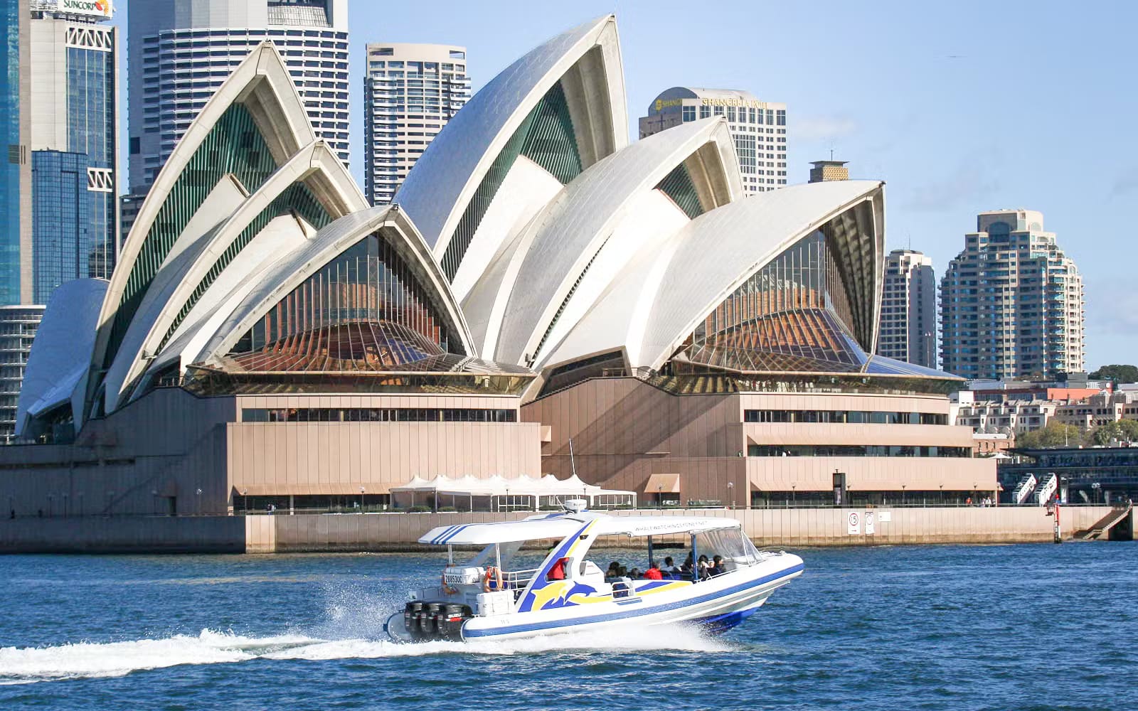 484f8e8308332d41316b4a7fc78e3a72-27468-sydney-sydney-whale-watching-cruise-by-catamaran-08.avif