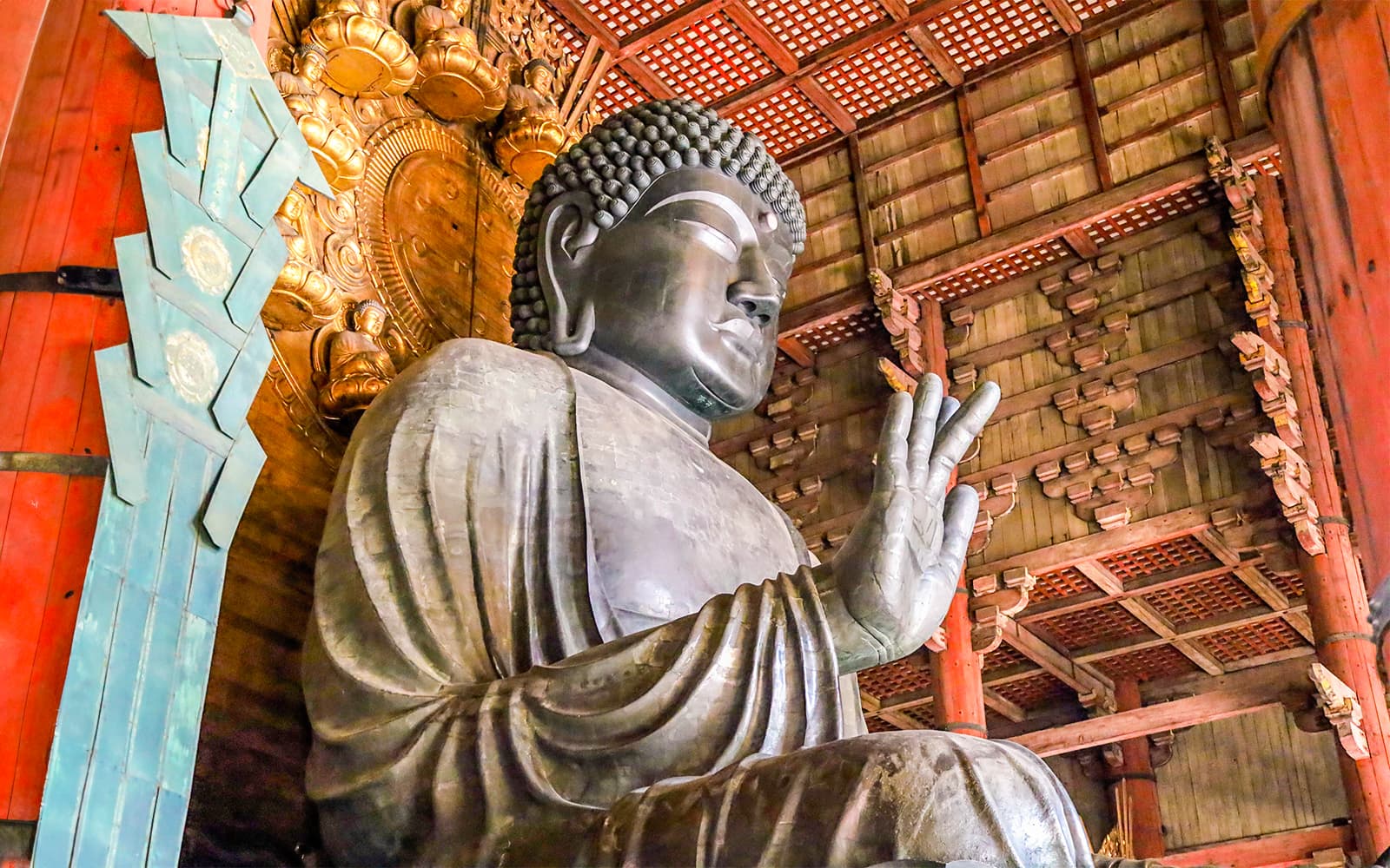 Nara and Kyoto One-Day Bus Tour tickets in Kyoto - Highlights | TickYourList