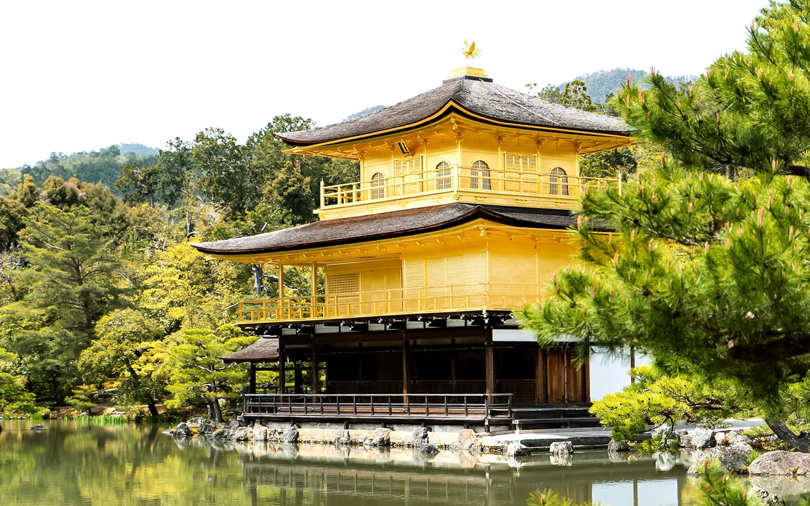 From Osaka: Kyoto Full-Day Tour tickets in Kyoto - Highlights | TickYourList