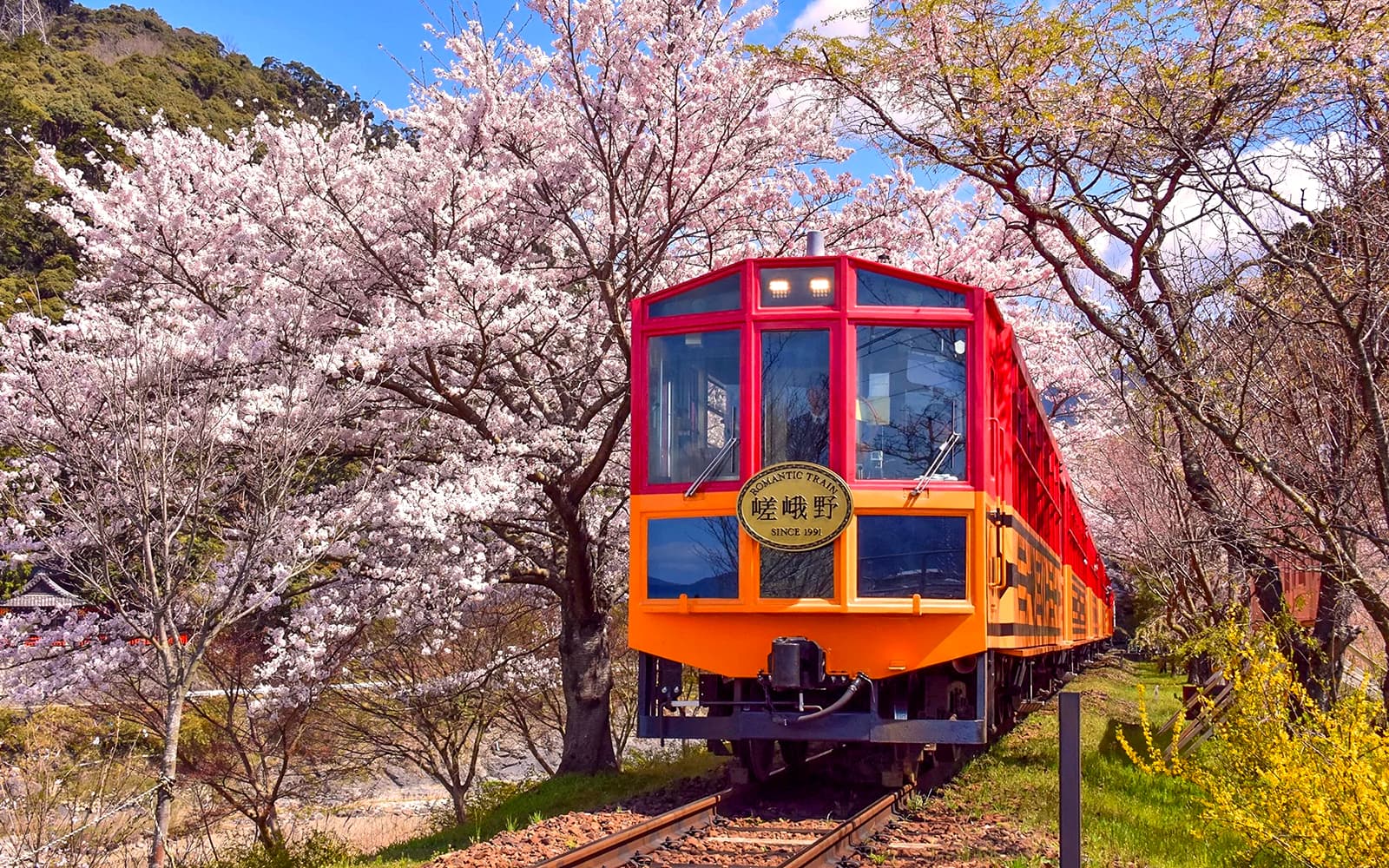 From Osaka: Kyoto Sagano Day Tour