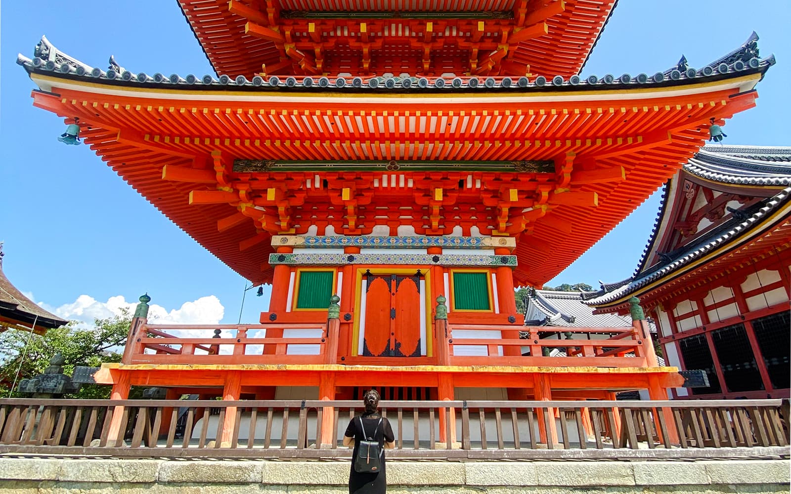 Kyoto Temples & Castle Guided Tour: Arashiyama, Nijo Castle, Fushimi Inari, and Kinkakuji from Kyoto tickets in Kyoto - Features | TickYourList