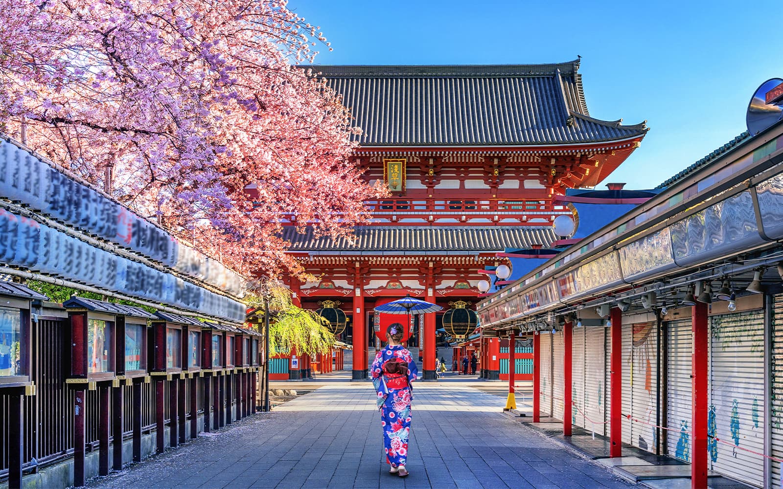 Kimono and Yukata Rental Near Asakusa Sensoji Temple with Optional Hair Styling experience tickets in Tokyo | TickYourList