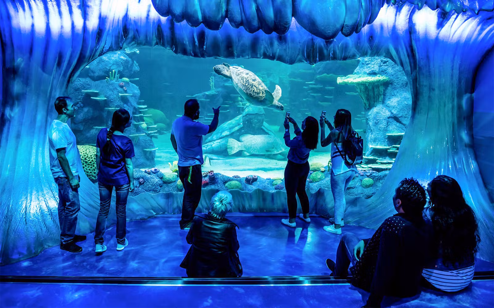 SEA LIFE Sydney Aquarium Tickets