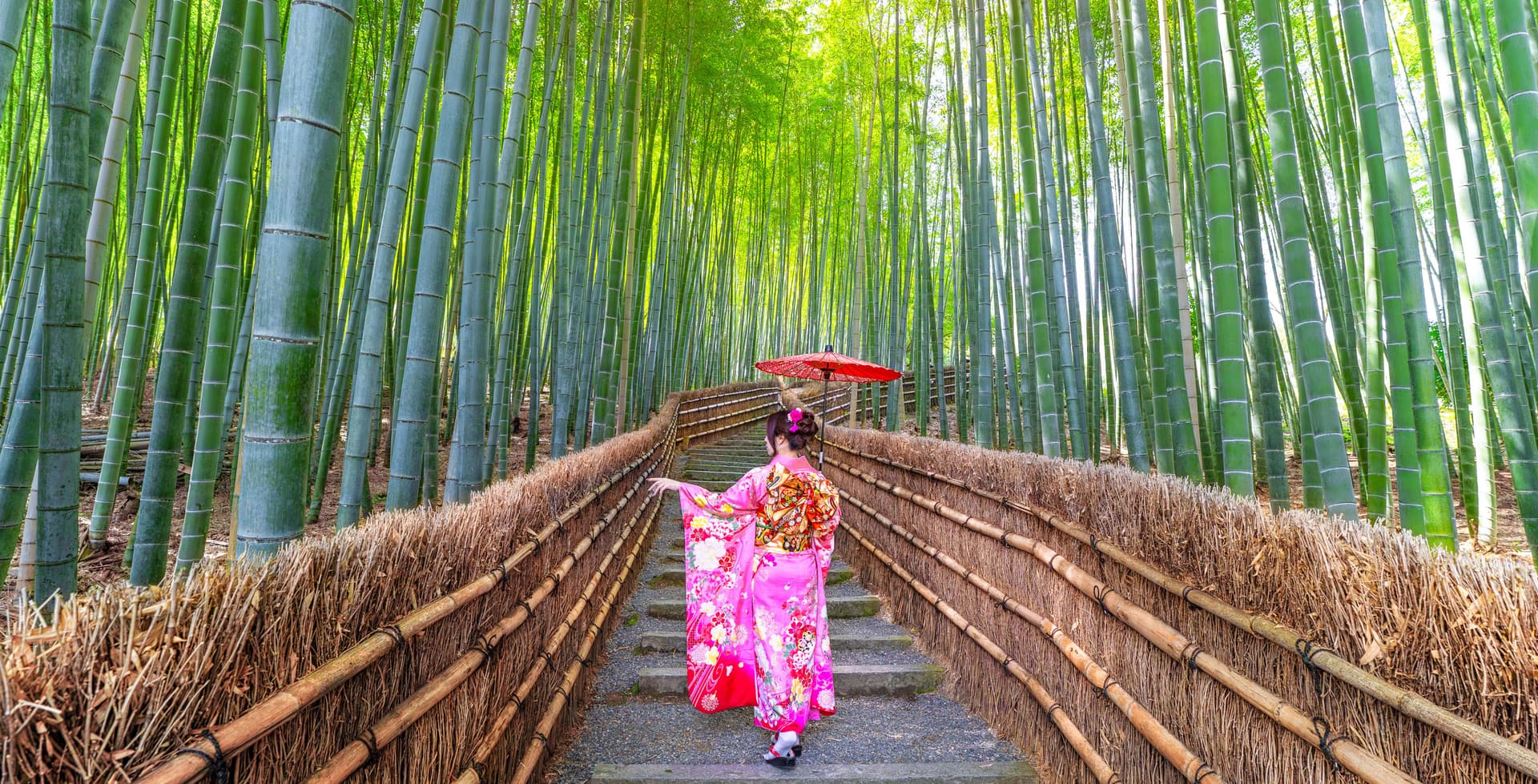 Kyoto Guided Tour: Bamboo Grove, Shrines & Nara Park from Osaka