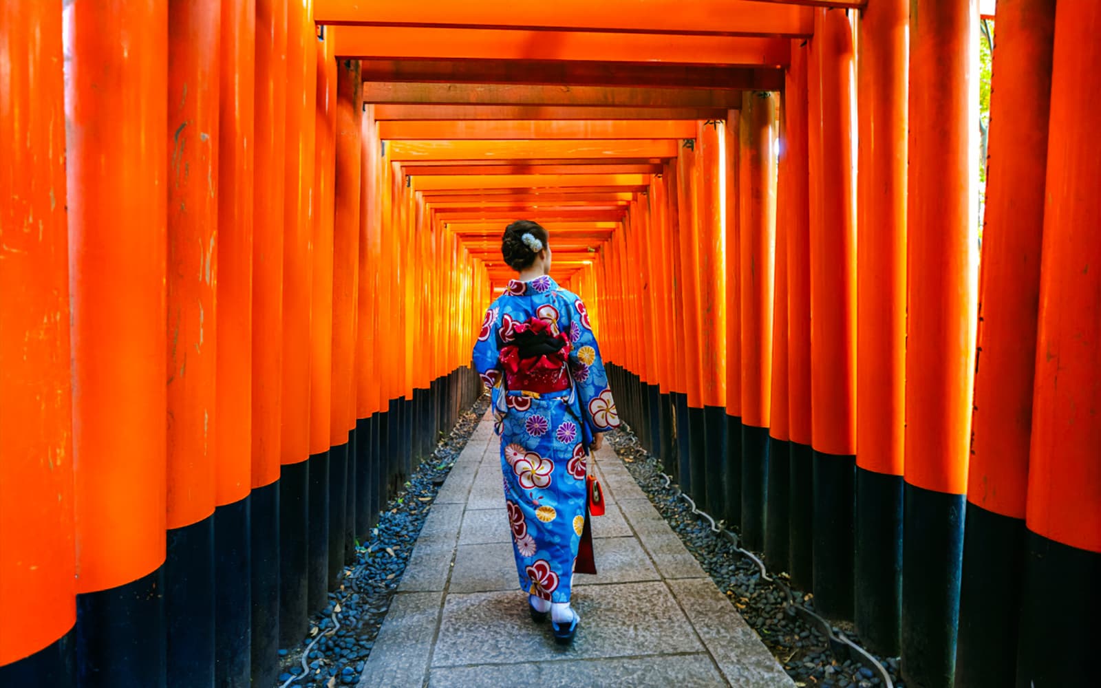 Kyoto Guided Tour: Bamboo Grove, Shrines & Nara Park from Osaka tickets in Kyoto - Highlights | TickYourList