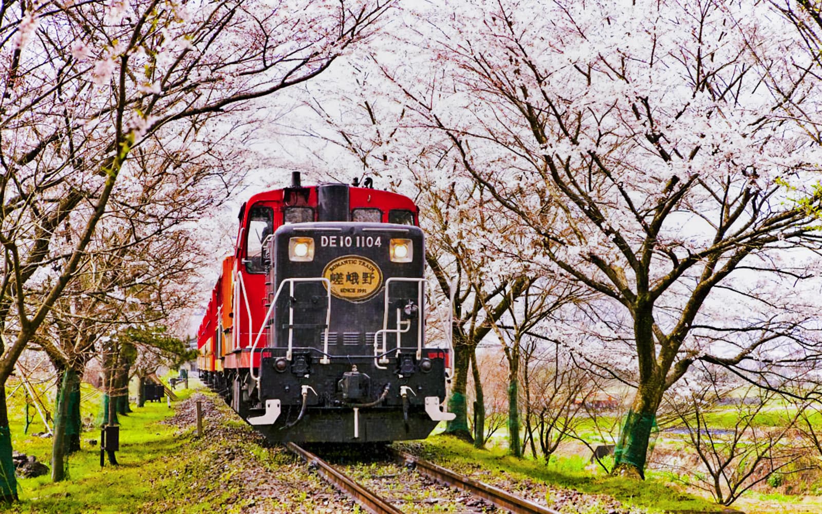 Kyoto Guided Tour: Bamboo Grove, Shrines & Nara Park from Osaka tickets in Kyoto - Features | TickYourList