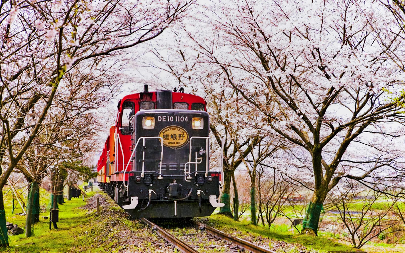 Kyoto Guided Tour: Bamboo Grove, Shrines & Nara Park from Osaka tickets in Kyoto - Features | TickYourList