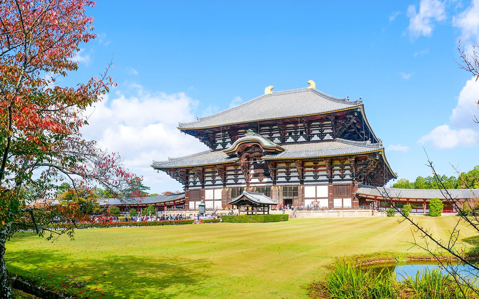Matcha Tour: Nara Park, Uji, and Hot Spring from Osaka tickets in Kyoto - Activities | TickYourList