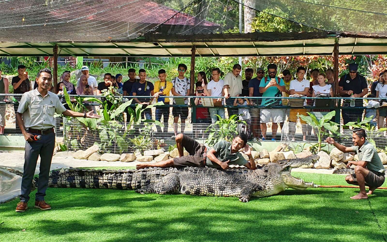 Crocodile Adventureland Langkawi - Adventure Combo tickets in Langkawi - Attractions | TickYourList