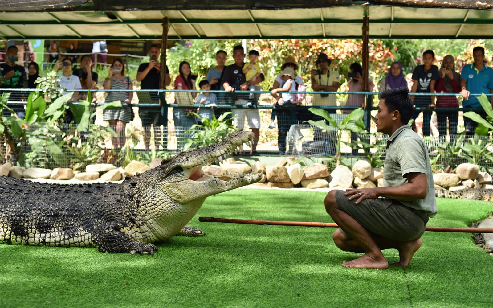 Crocodile Adventureland Langkawi - Adventure Combo tickets in Langkawi - Activities | TickYourList
