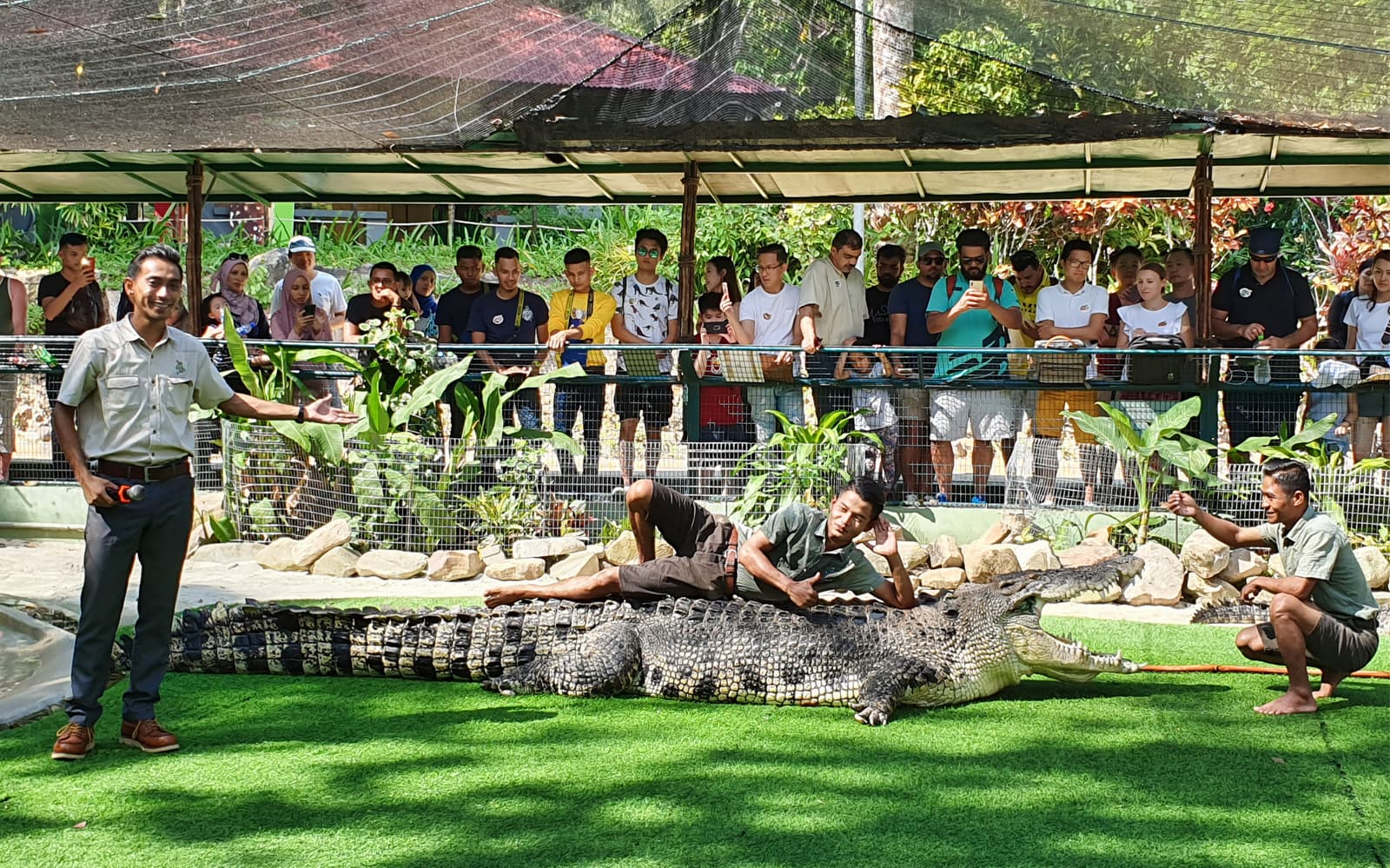 Crocodile Adventureland Langkawi - Explore Combo tickets in Langkawi - Activities | TickYourList