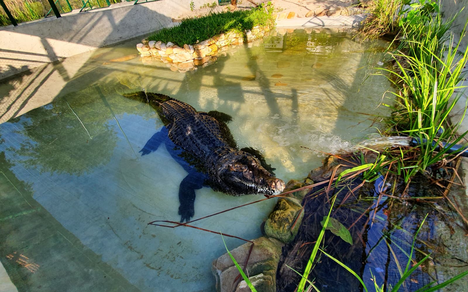 Crocodile Adventureland Langkawi - Explore Combo tickets in Langkawi - Highlights | TickYourList