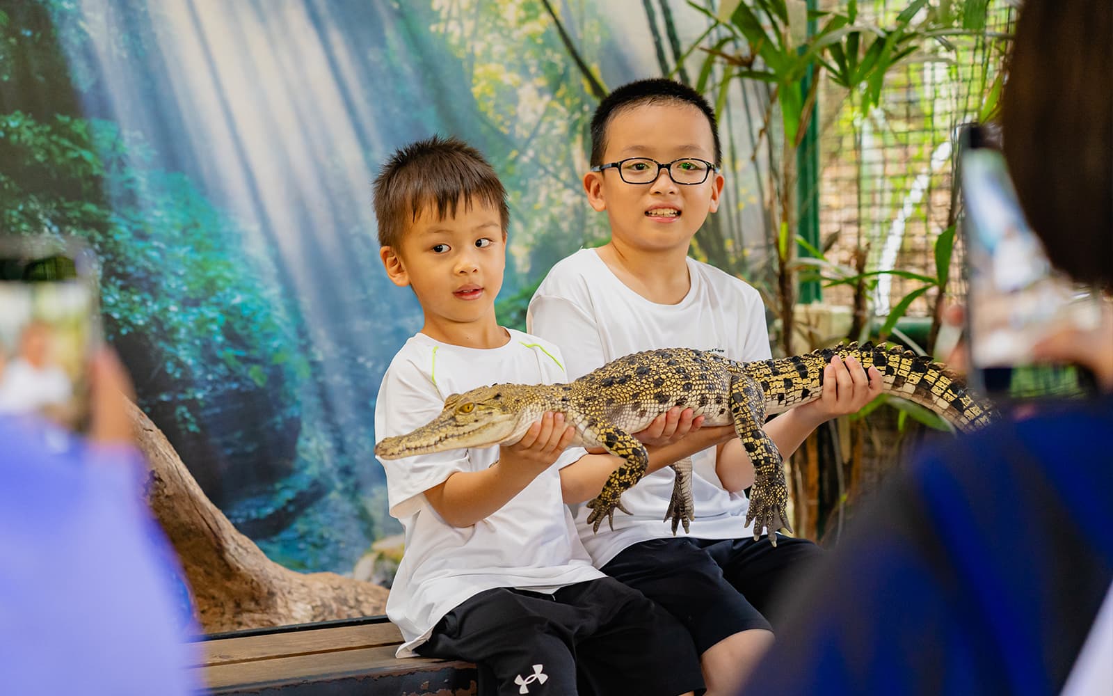 Crocodile Adventureland Langkawi Tickets in Langkawi - Activities | TickYourList