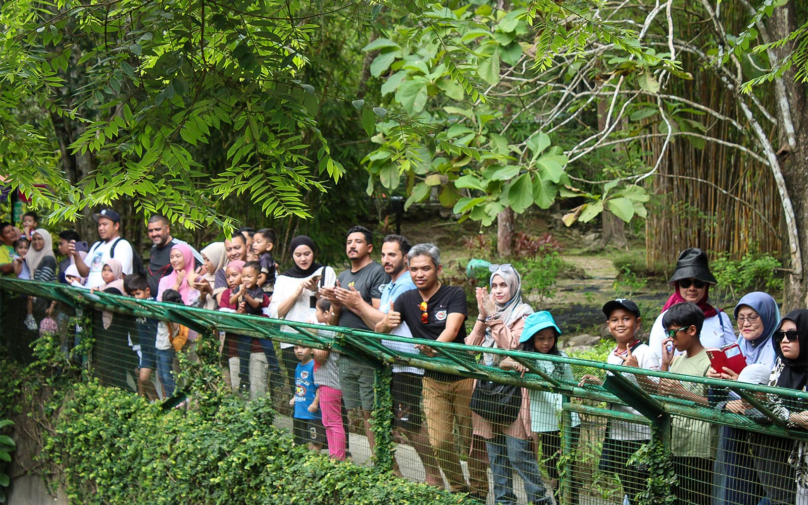 Crocodile Adventureland Langkawi Tickets in Langkawi - Features | TickYourList