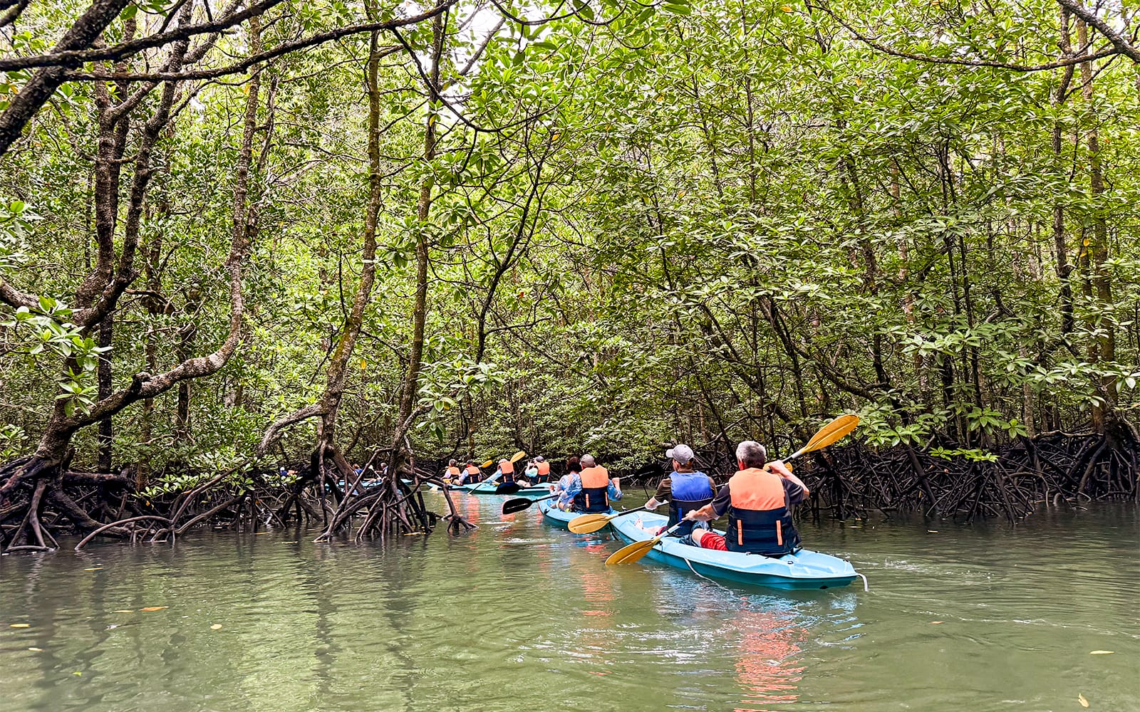 Langkawi Mangrove Kayak Tour tickets in Langkawi - Attractions | TickYourList