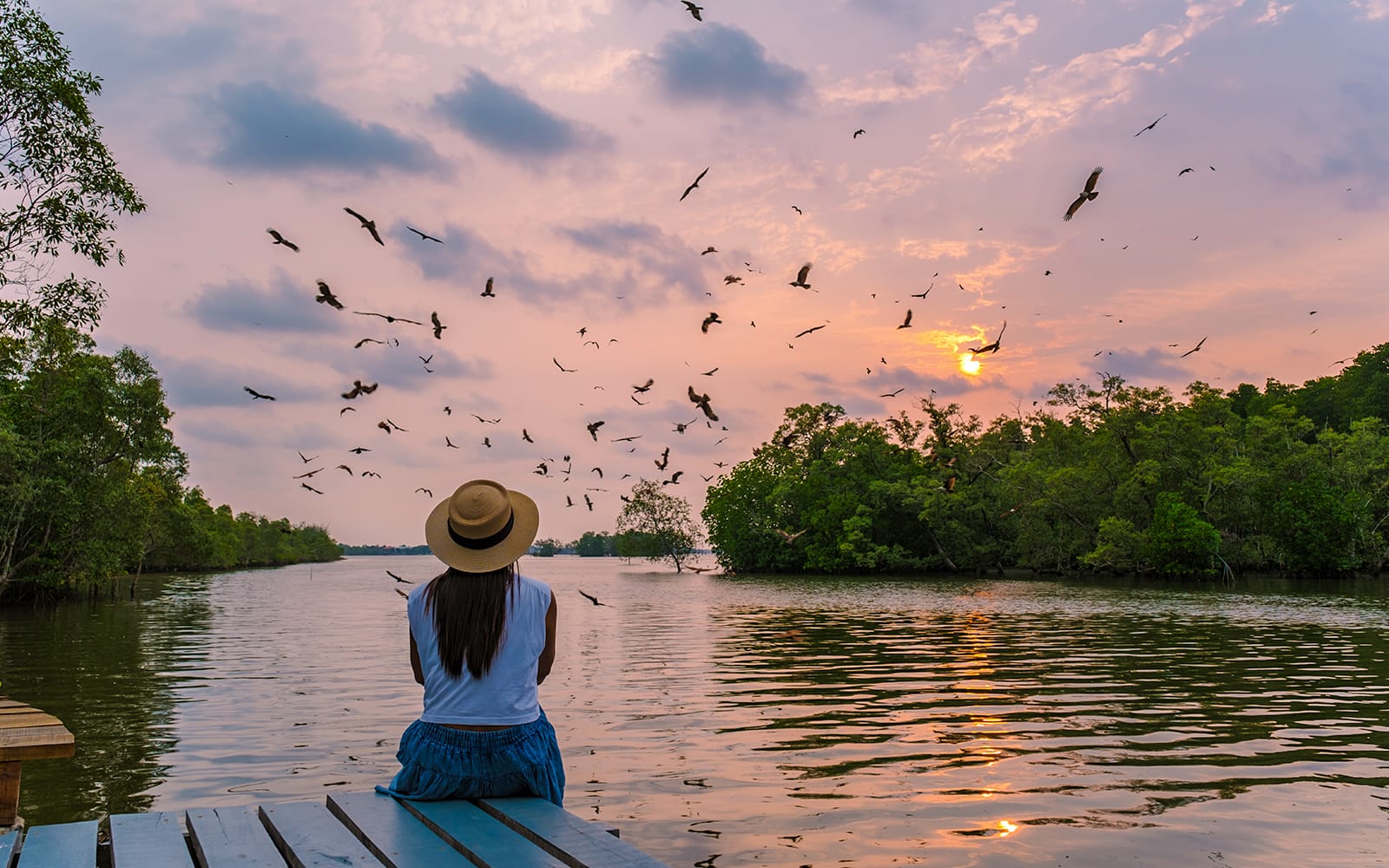 Langkawi Mangrove Kayak Tour tickets in Langkawi - Activities | TickYourList