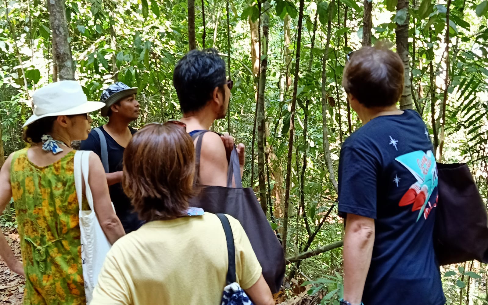 Langkawi Rainforest Jungle Trekking tickets in Langkawi - Attractions | TickYourList