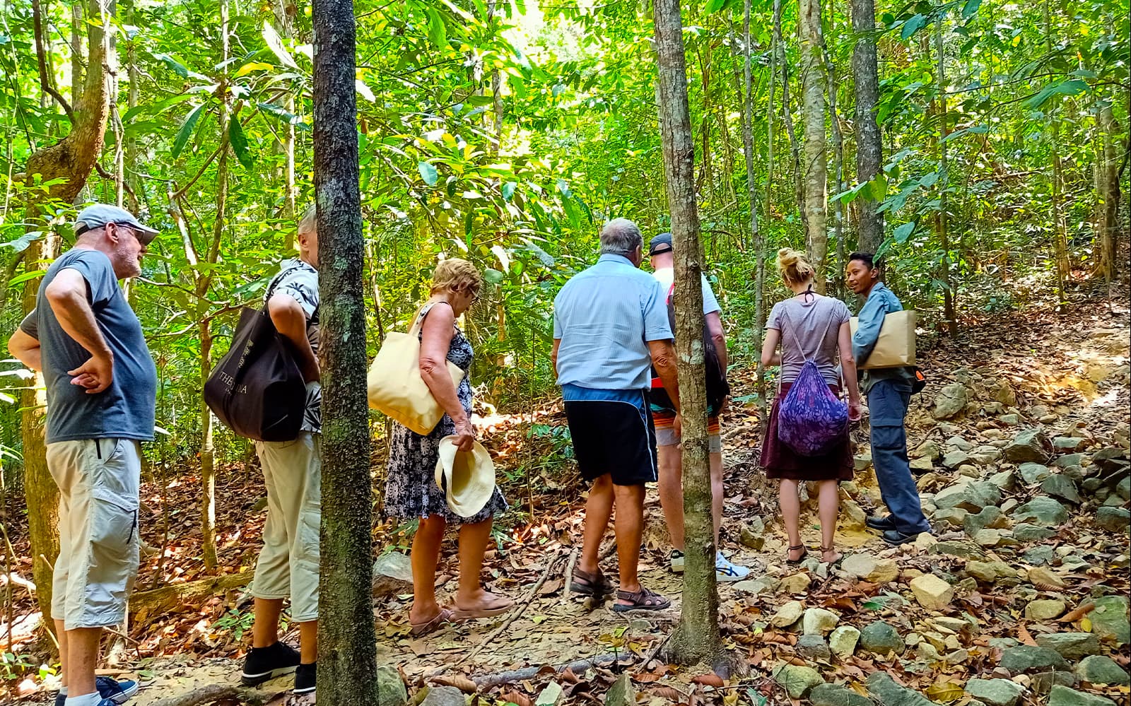 Langkawi Rainforest Jungle Trekking tickets in Langkawi - Activities | TickYourList
