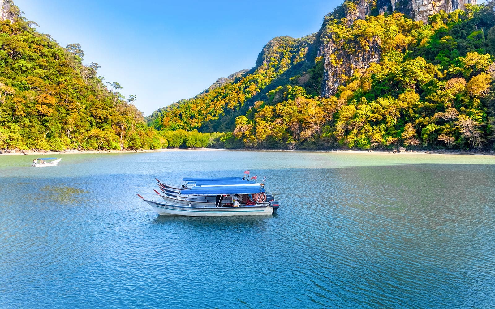 Private Langkawi Mangrove Tour