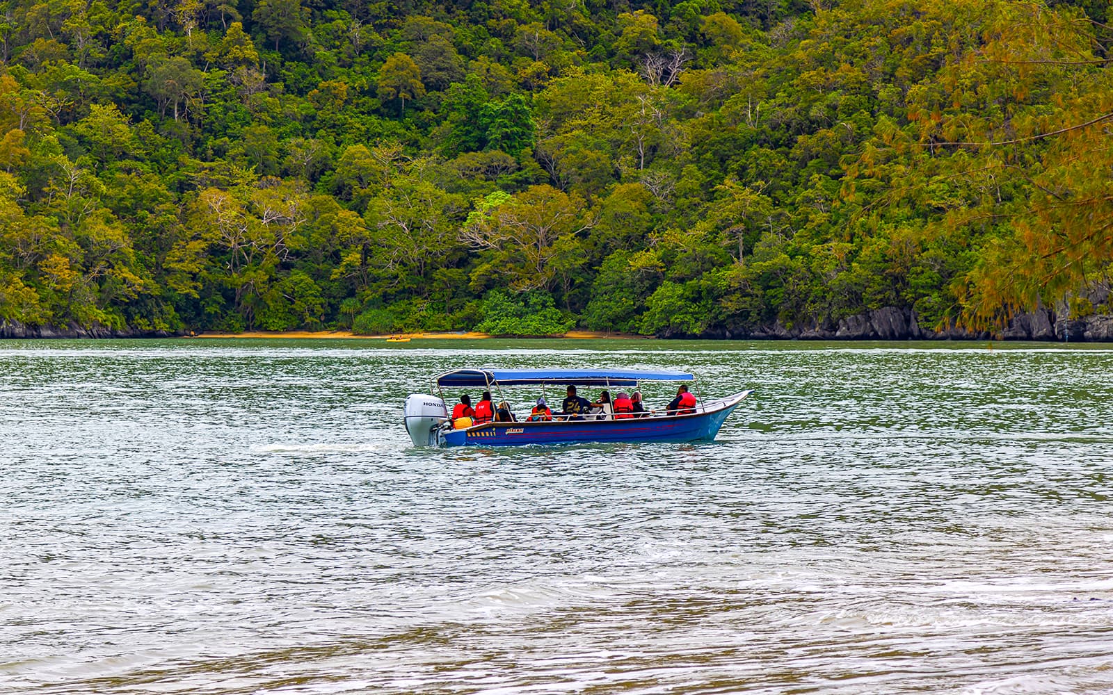 Private Langkawi Mangrove Tour tickets in Langkawi - Highlights | TickYourList