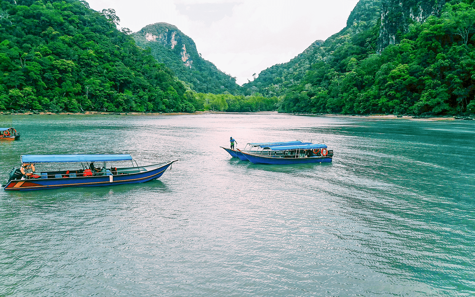Langkawi Mangrove Tour