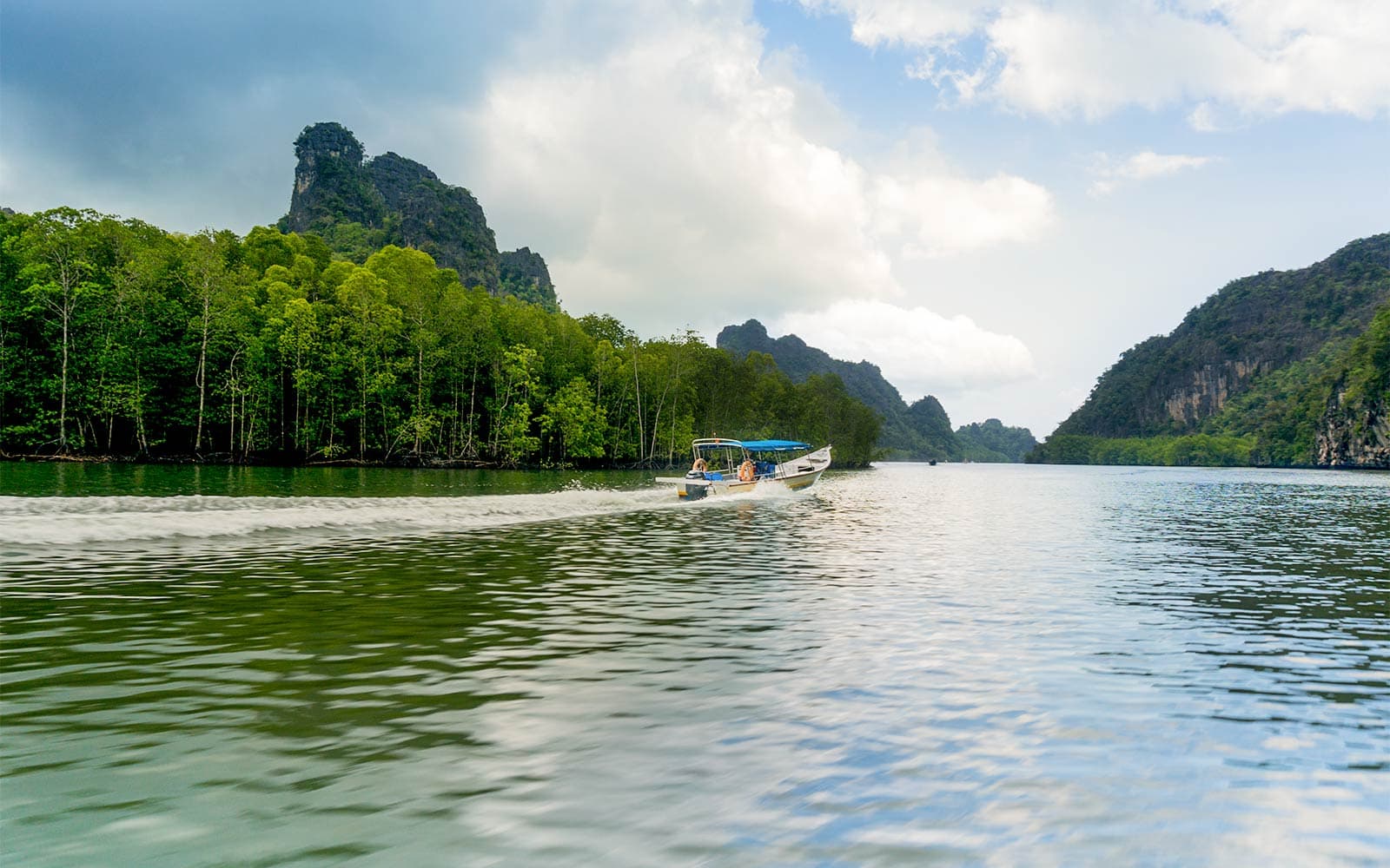 Langkawi Mangrove Tour tickets in Langkawi - Highlights | TickYourList
