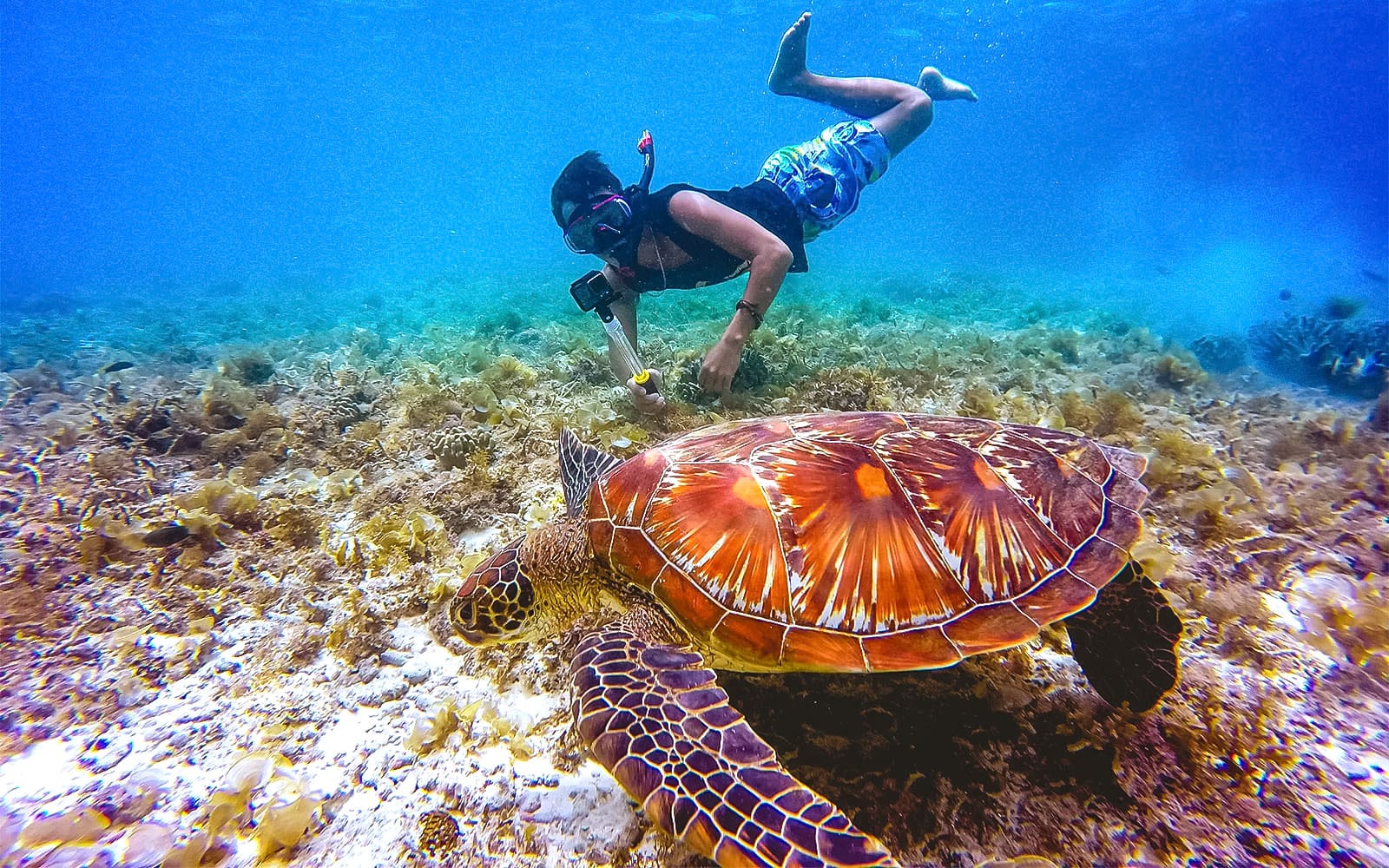 Tickets to Langkawi Marine Park in Langkawi - Attractions | TickYourList