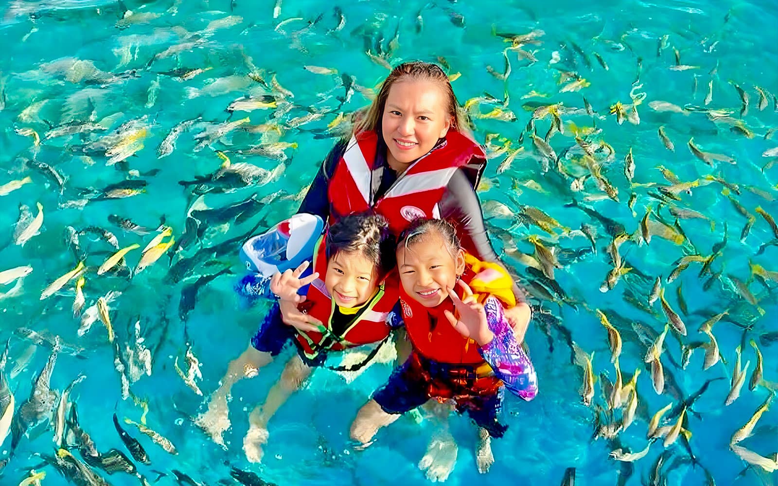 Tickets to Langkawi Marine Park in Langkawi - Features | TickYourList