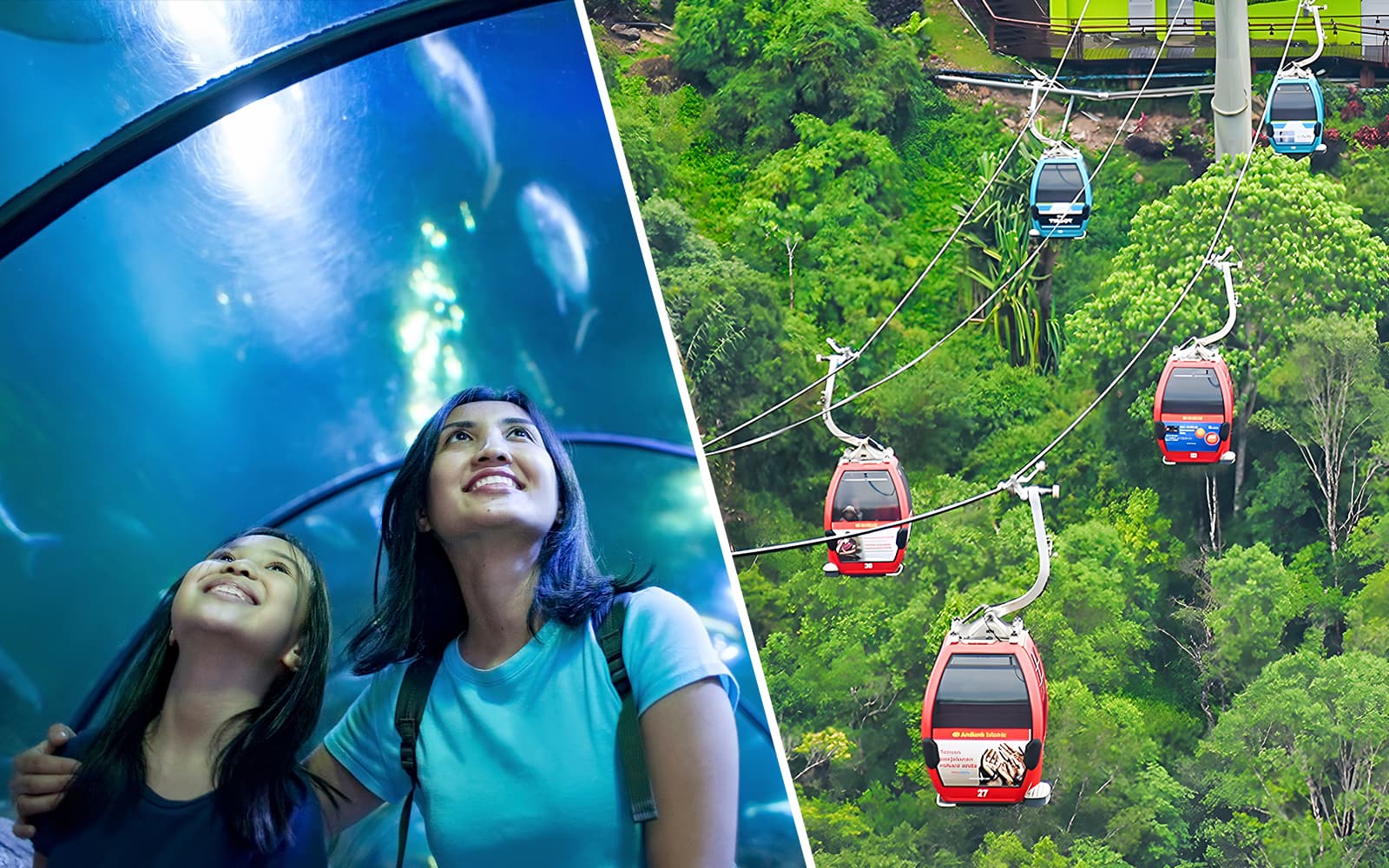 Combo (Save 3%): Underwater World + Langkawi Cable Car Tickets