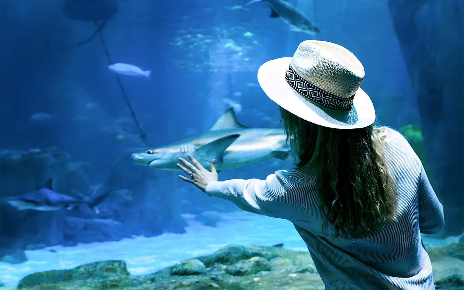 Combo (Save 3%): Underwater World + Langkawi Cable Car Tickets in Langkawi - Activities | TickYourList