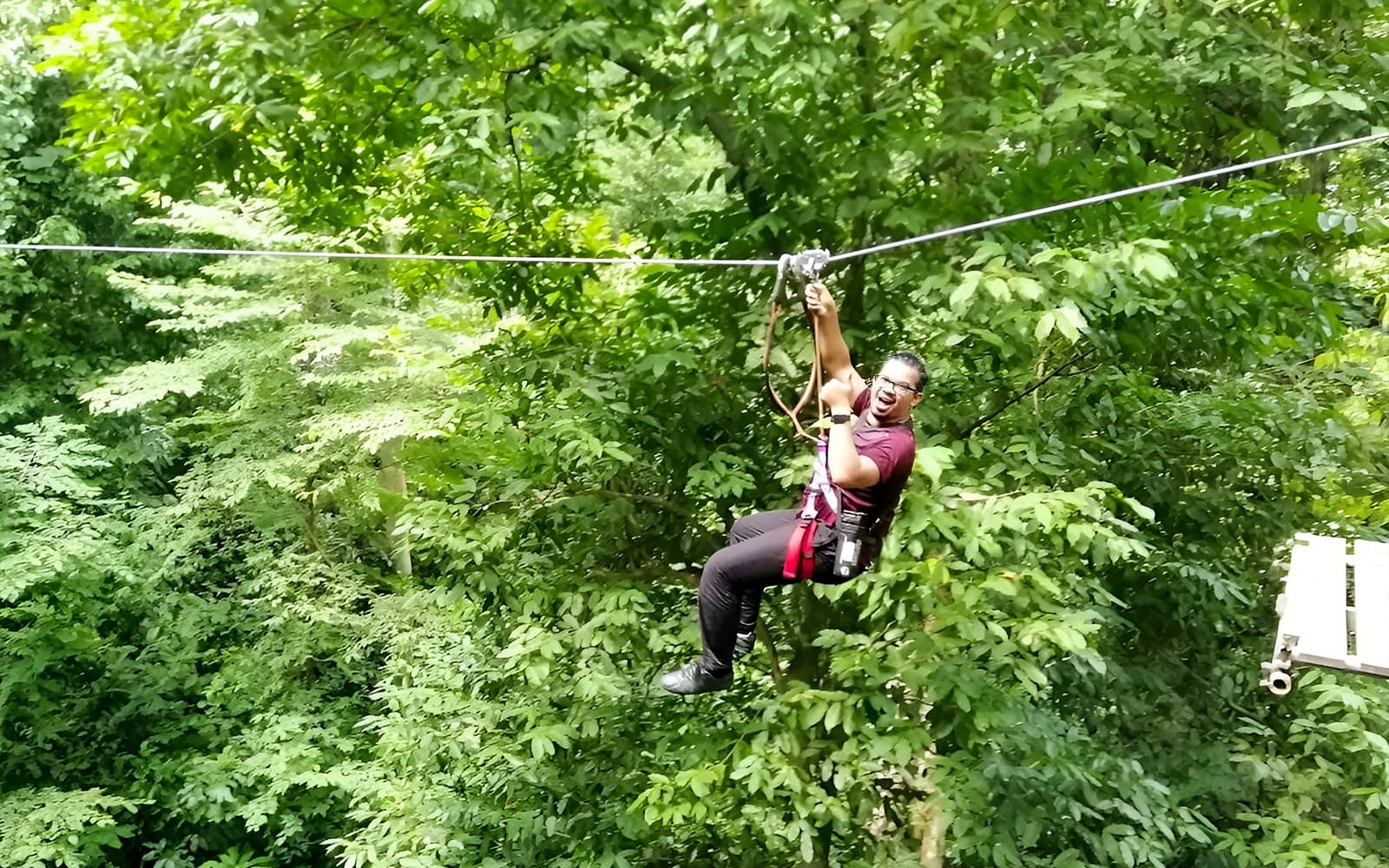 Tickets to Skytrex Adventure Langkawi in Langkawi - Activities | TickYourList