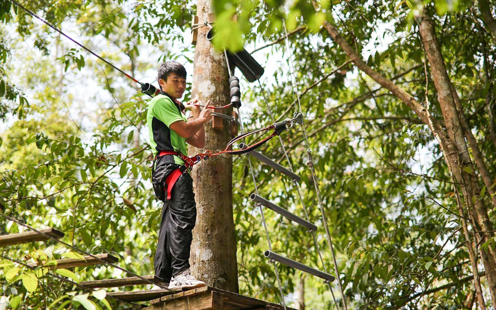 Tickets to Skytrex Adventure Langkawi in Langkawi - Highlights | TickYourList